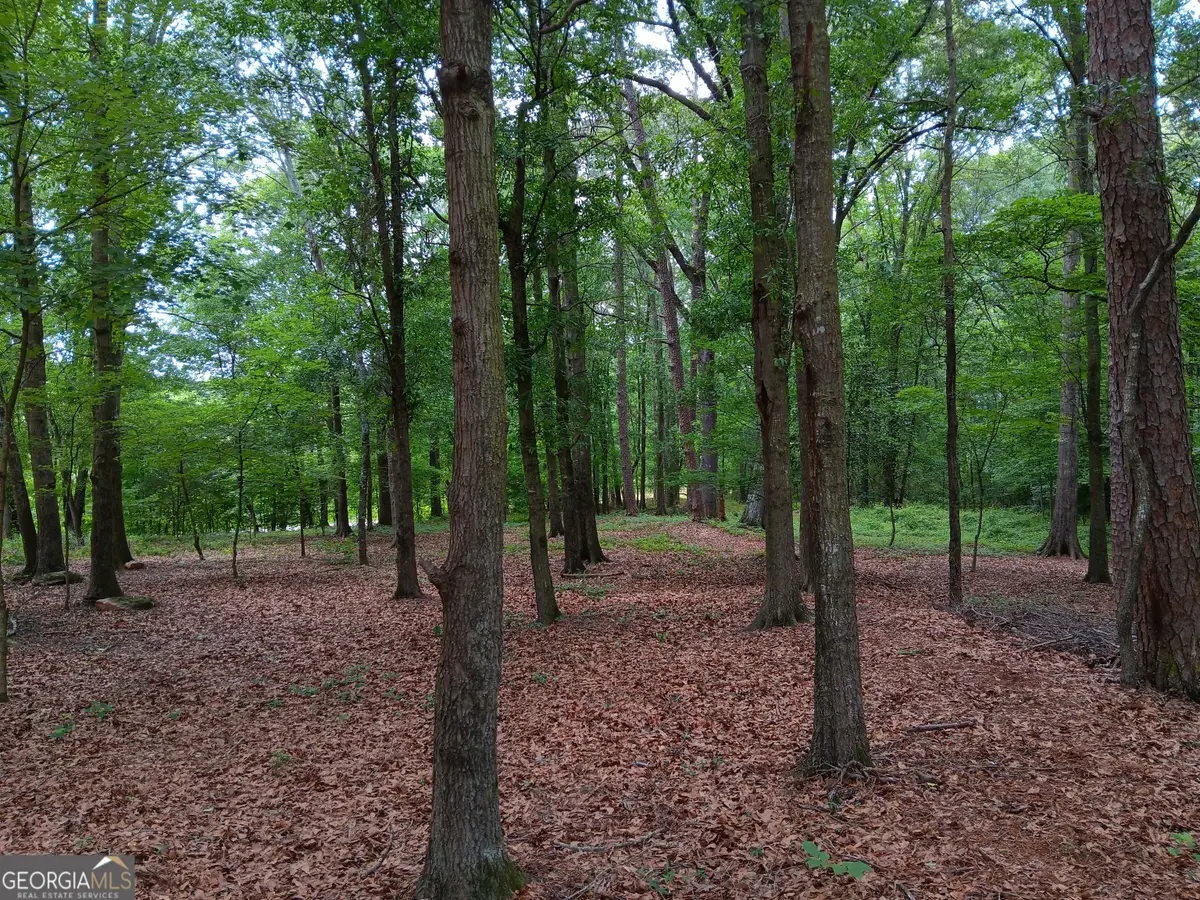 1109 Dixon Bridge Road, Maysville, GA 30558 - #1