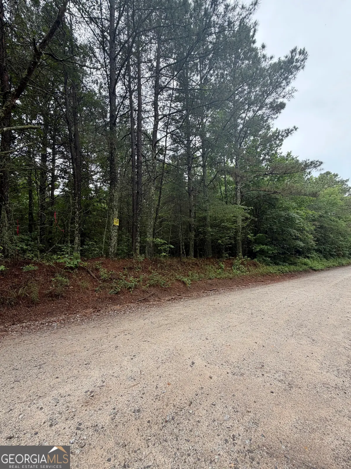0 Teague Road, Waco, GA 30182 - #1