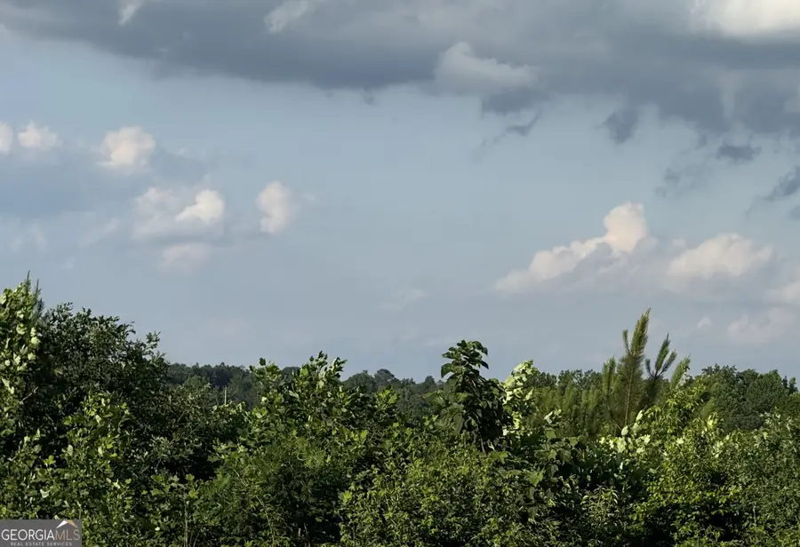 0 Co Rd 49, Muscadine, AL 36269 - #2