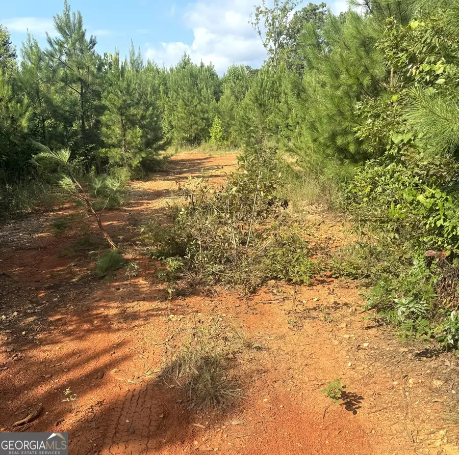 0 Co Rd 49, Muscadine, AL 36269 - #3