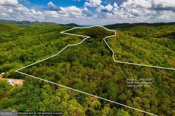 43.91 Old Burnt Mountain Road #PART OF C, Ellijay, GA 30540