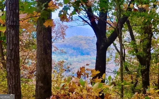 43.91 Old Burnt Mountain Road #PART OF C, Ellijay, GA 30540 - #2