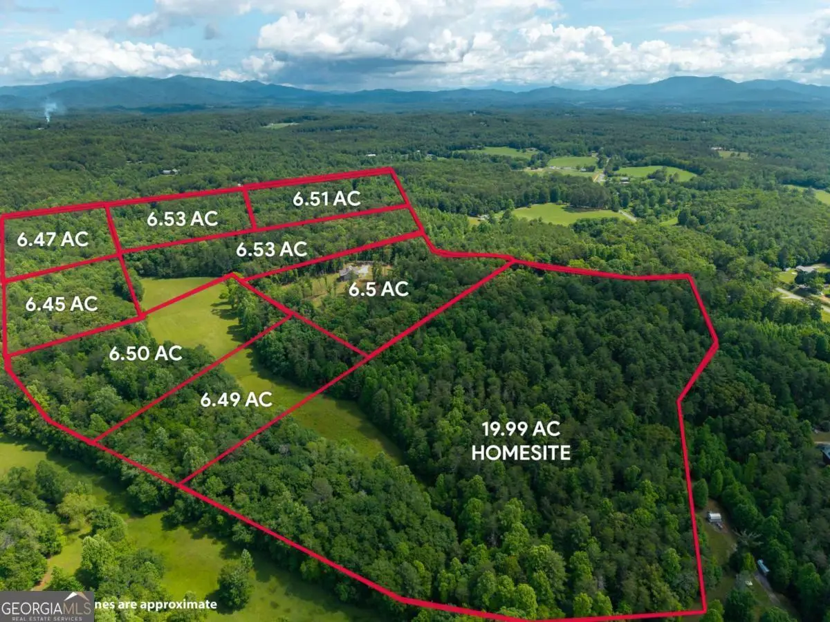 5664 Mobile Road, Blue Ridge, GA 30513 - #1