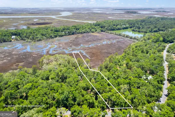 LOT 54 St. Joseph's Point, Darien, GA 31305