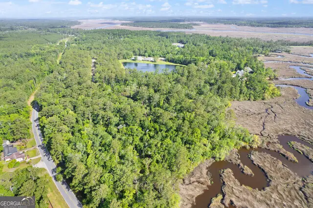 LOT 49 Bluffs Landing, Waverly, GA 31565 - #3