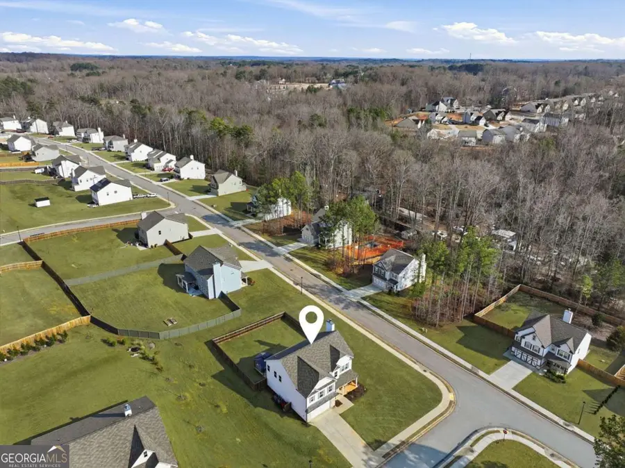 1006 Mallard Point, Hoschton, GA 30548 - #3