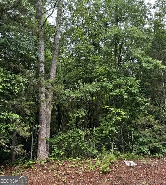 0 Lewis Drive #LOT 20, Lavonia, GA 30553 - #1