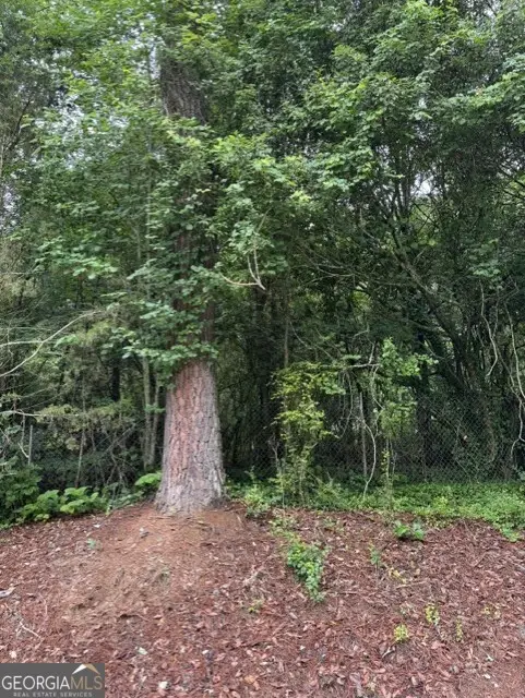 0 Lewis Drive #LOT 20, Lavonia, GA 30553 - #2