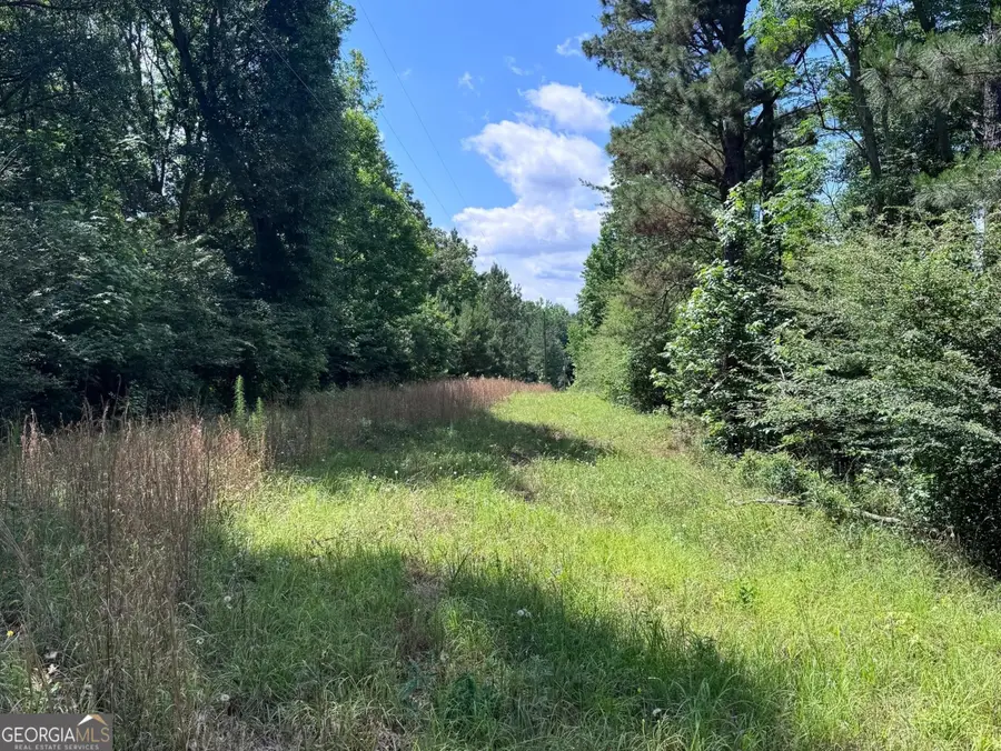 427 Dripping Rock Road, Molena, GA 30258 - #3