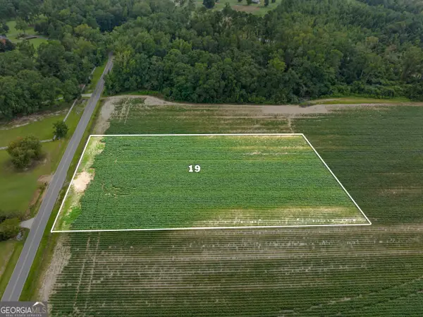 0 Miller St Extension #LOT 19, Statesboro, GA 30458