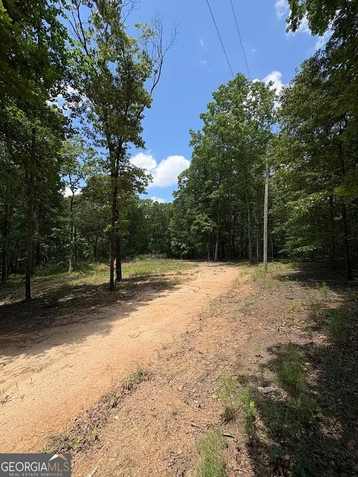 4492 U.s. 78, Tallapoosa, GA 30176 - #3