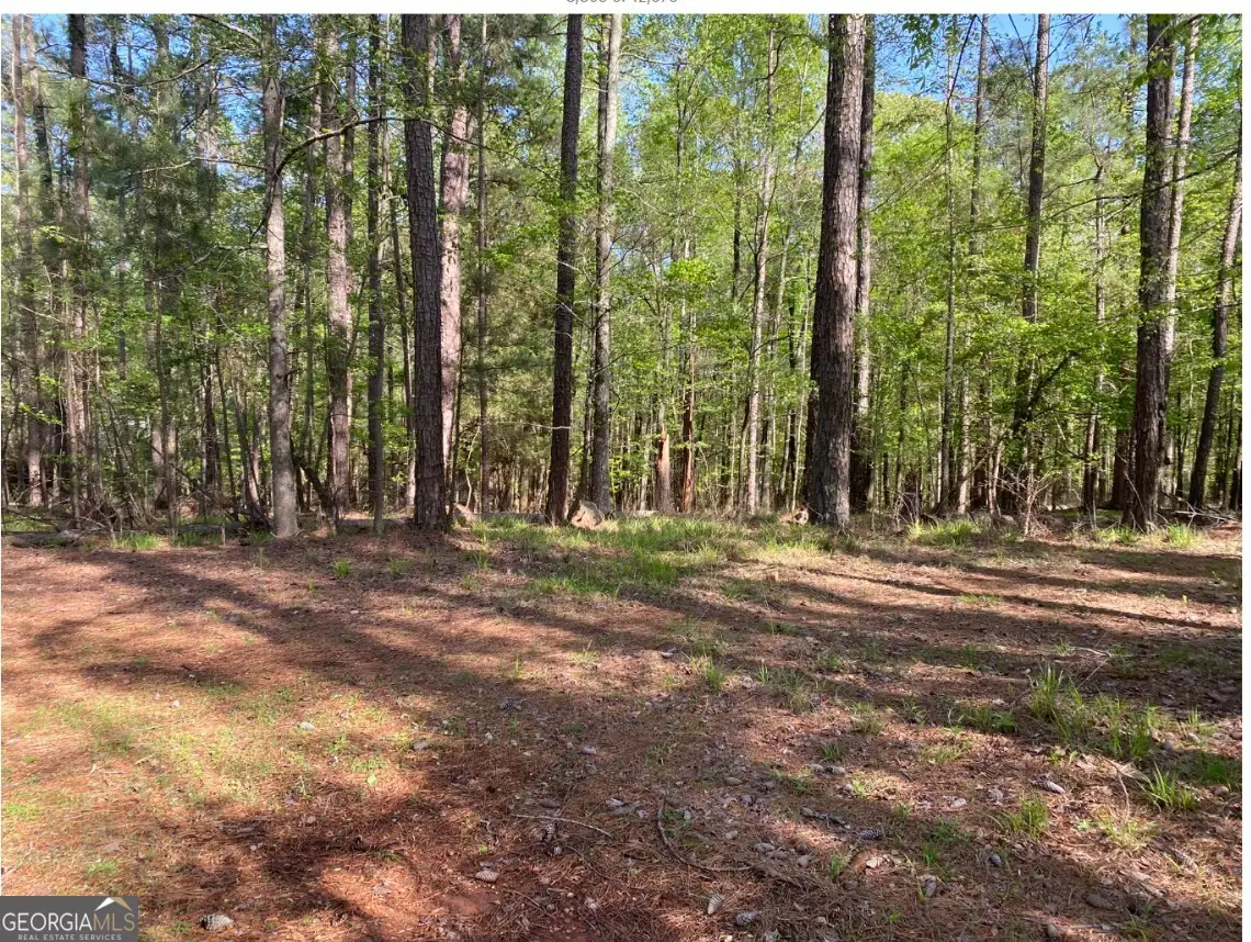1021 Charles Court, Greensboro, GA 30642 - #1