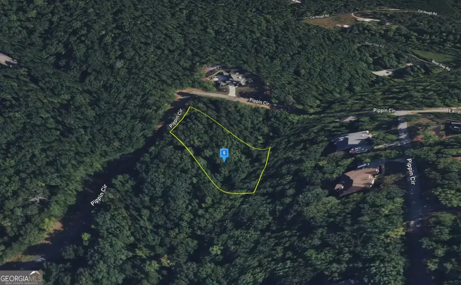 295 Pippin Cir, Clarkesville, GA 30523 - #2