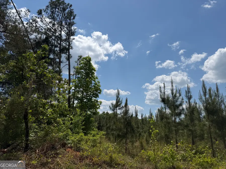 001 George Milling Rd, Cuthbert, GA 39840 - #3