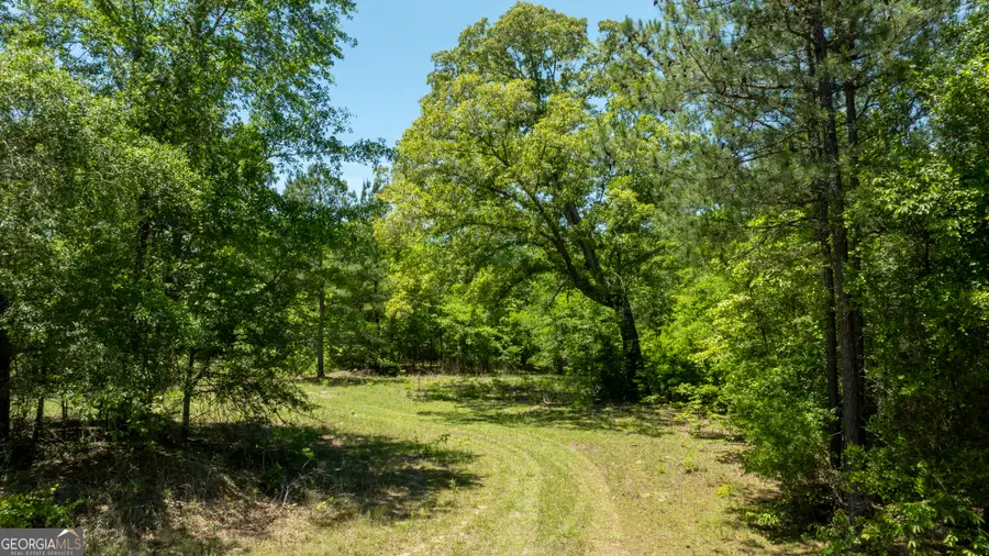 0 Old Griswoldville Rd, Gordon, GA 31031 - #3