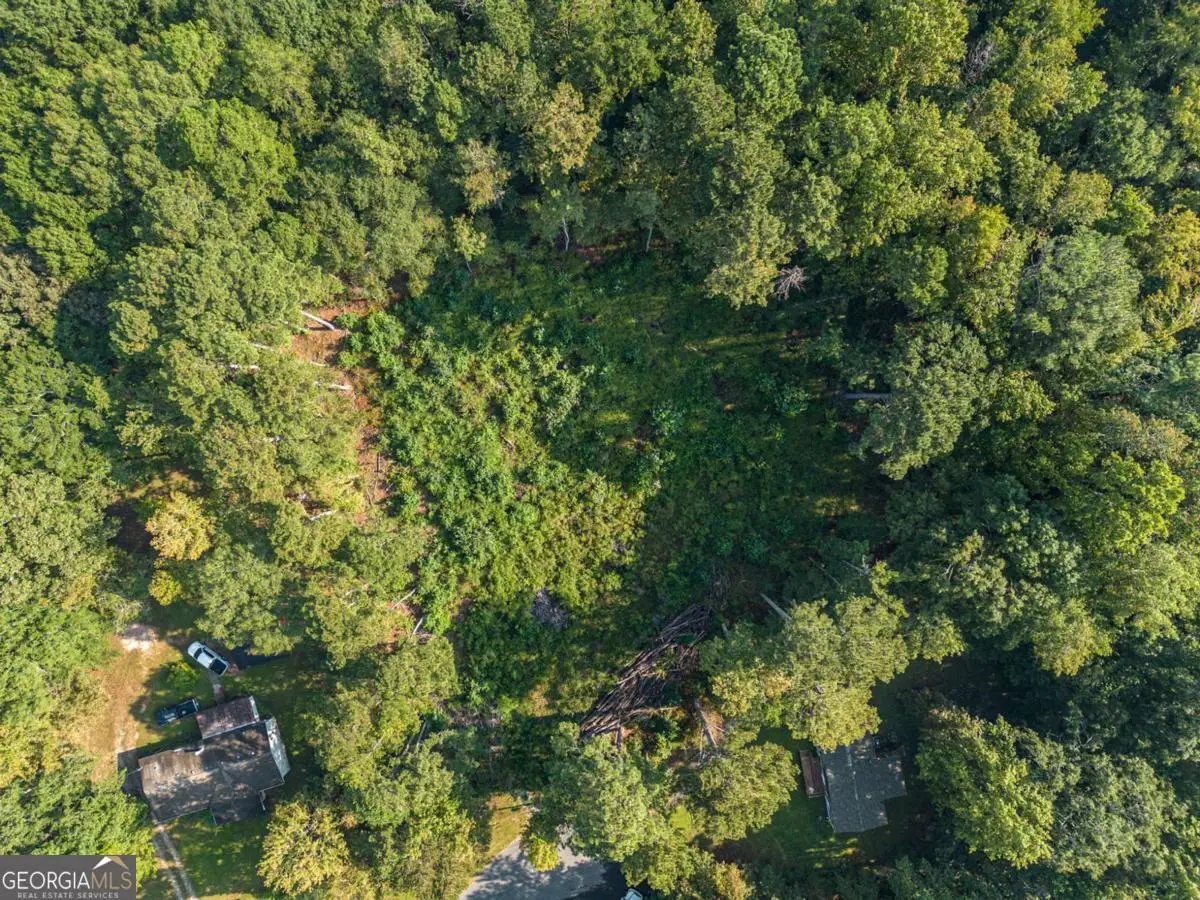 0 Maple Trail, Sharpsburg, GA 30277 - #1