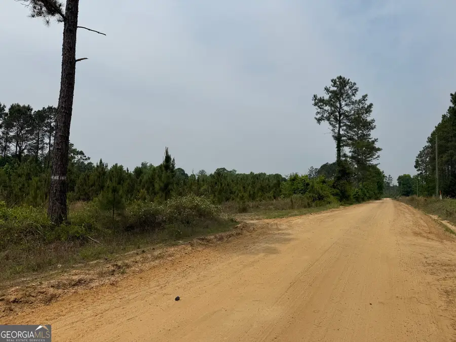 15 Graham Lane, Cadwell, GA 31009 - #3
