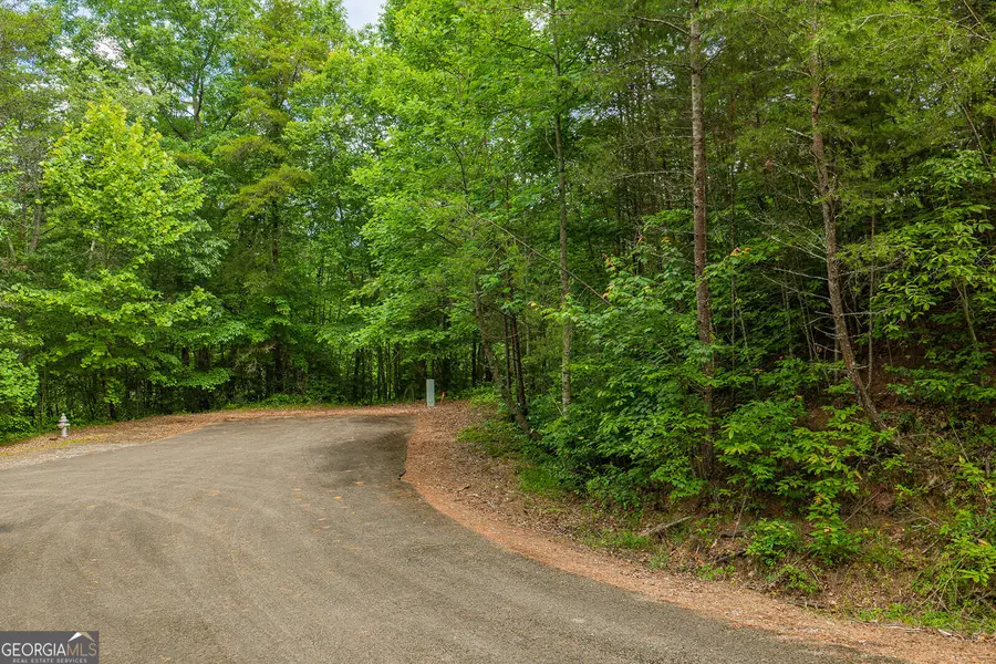 LOT 21 Aspen Avenue, East Ellijay, GA 30540 - #2