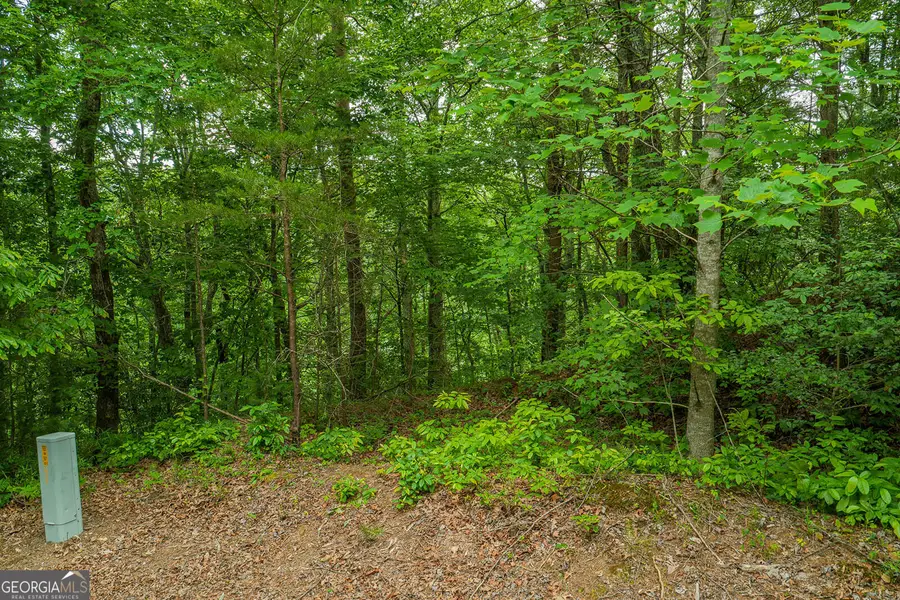 LOT 21 Aspen Avenue, East Ellijay, GA 30540 - #3
