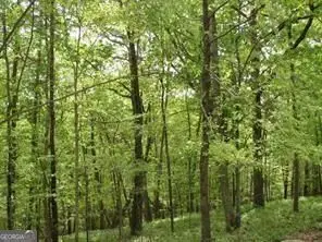 141 Fort Wayne Court, Waleska, GA 30183