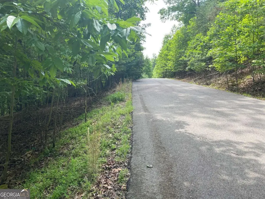 LOT 11 Brumby Run #11, Blairsville, GA 30512 - #3