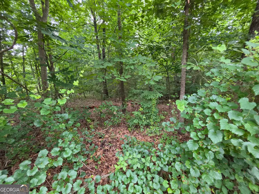 LOT 15 Harbor Heights Circle, Lavonia, GA 30553 - #3