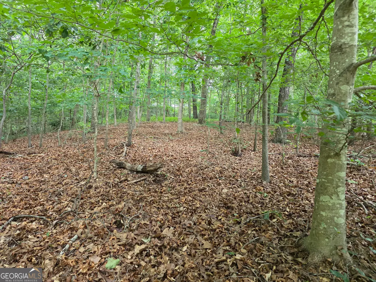 LOT 270 Arrow Lane, Lavonia, GA 30553 - #1