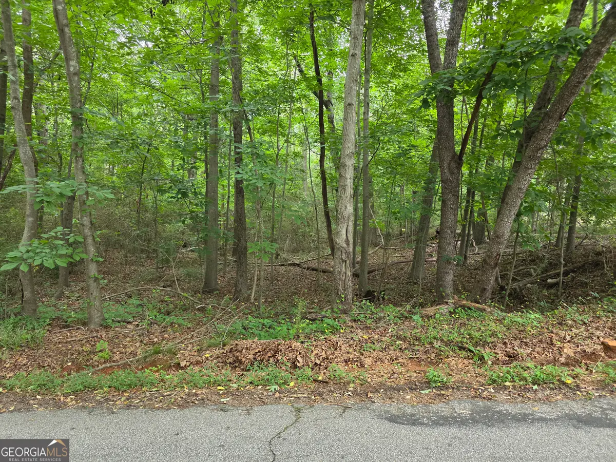 LOT 109 Arrowhead Drive, Lavonia, GA 30553 - #1