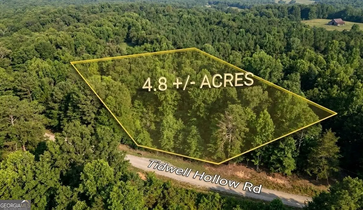 0 Tidwell Hollow #TRACT A, Oneonta, AL 35121 - #1