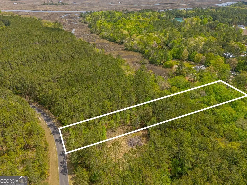 LOT 4 Waverly Lane, White Oak, GA 31568 - #1