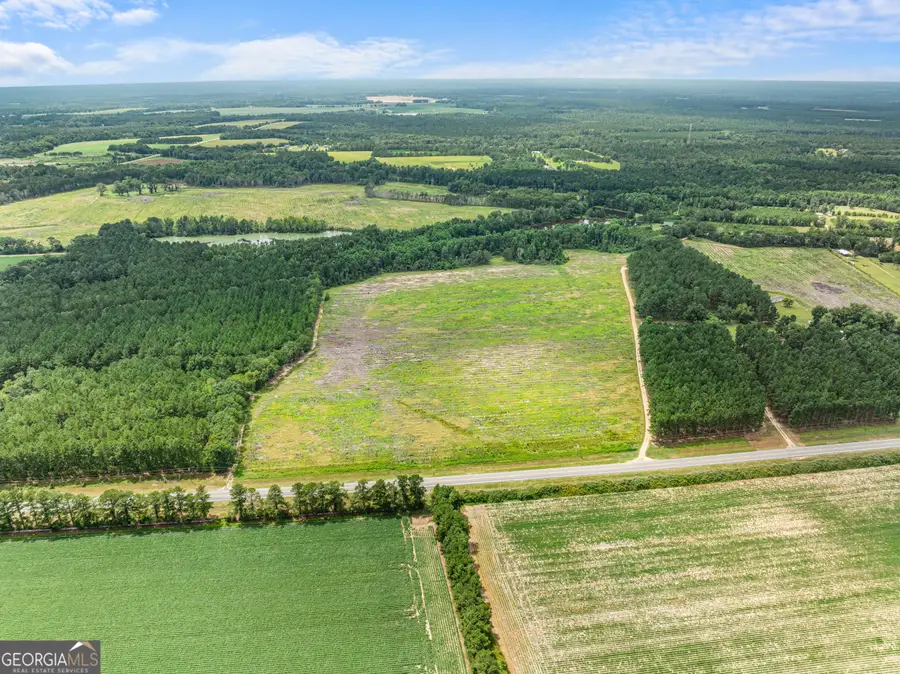 0 19.13 Acres Highway 301 N, Statesboro, GA 30458 - #2