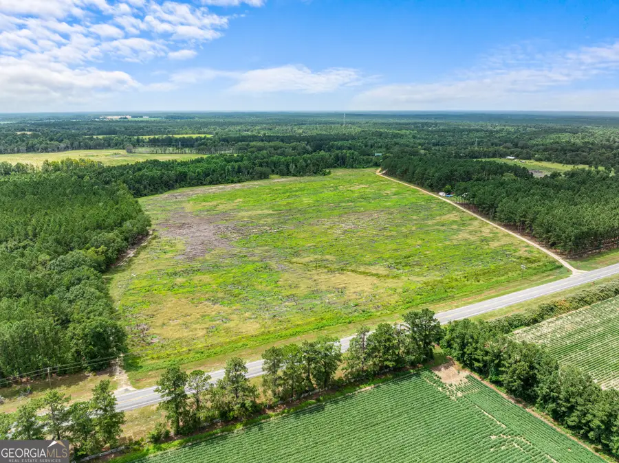 0 19.13 Acres Highway 301 N, Statesboro, GA 30458 - #3