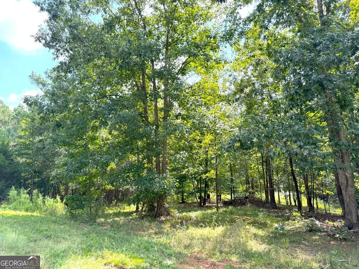 1049 Jaybird Lane, Elberton, GA 30635 - #1