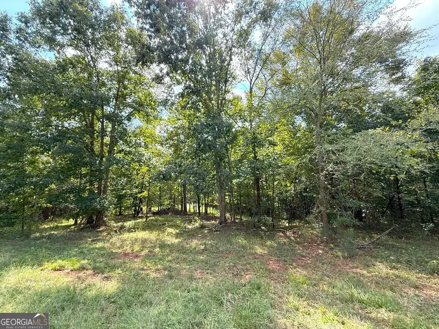 1049 Jaybird Lane, Elberton, GA 30635 - #3