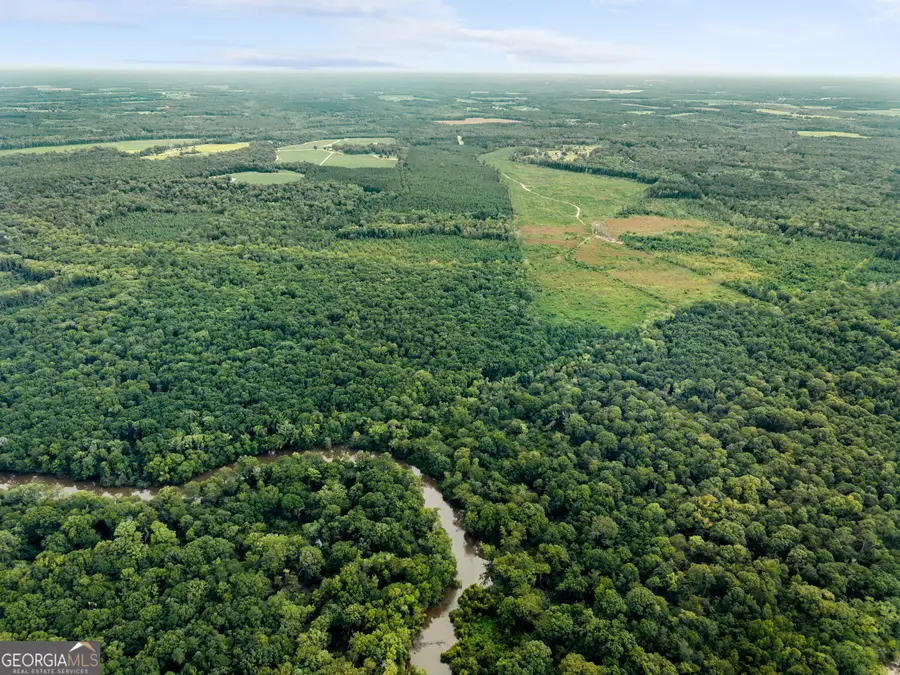 232 ACRES Old River Road N, Statesboro, GA 30461 - #3