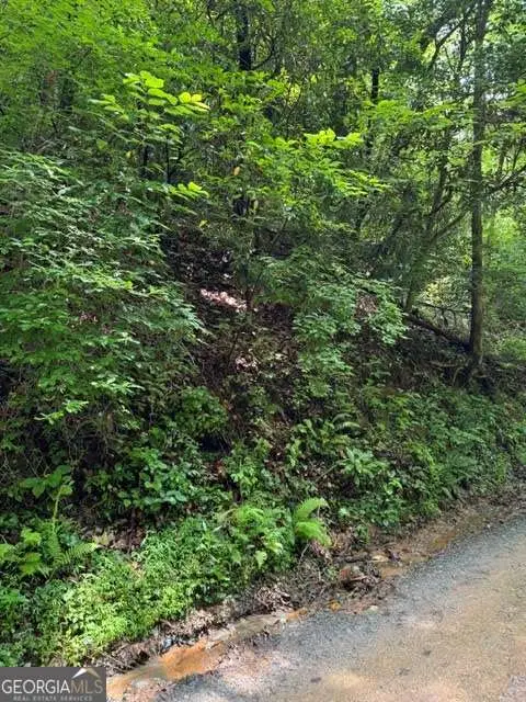 LOT 2 Kells Ridge, Ellijay, GA 30540 - #3