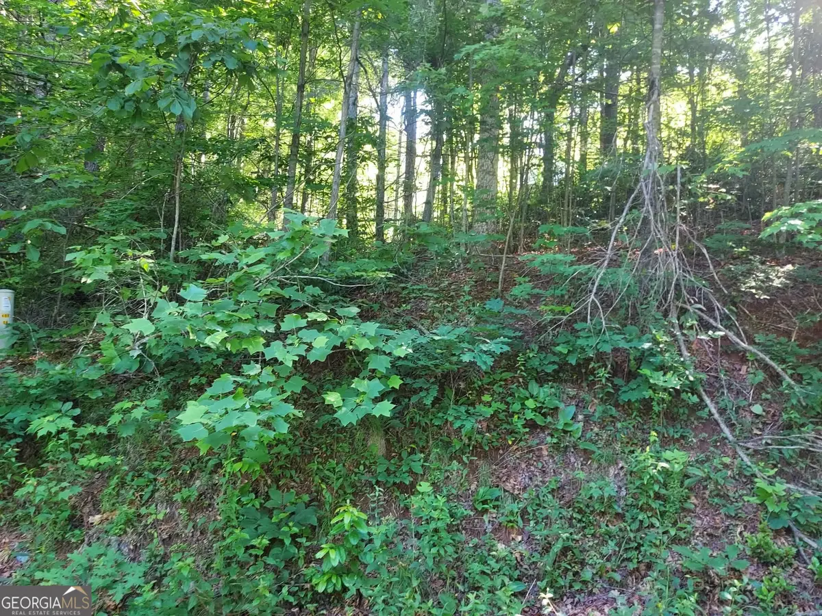 0 Driver Lane, Sky Valley, GA 30537 - #1
