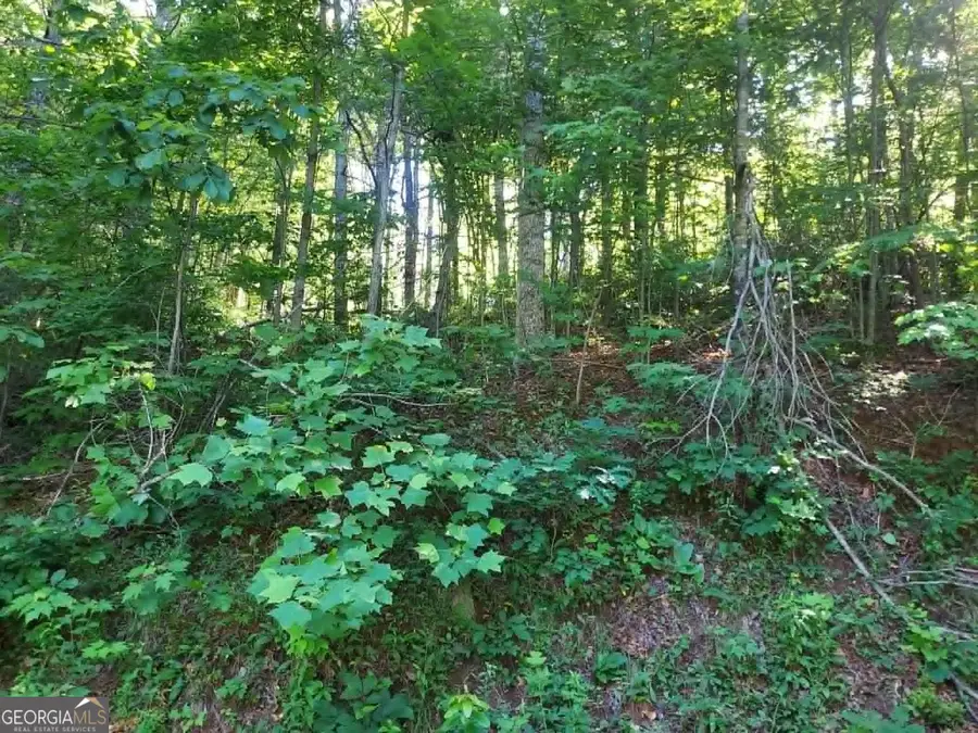 0 Driver Lane, Sky Valley, GA 30537 - #2