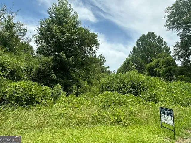 0 Cail Street, Sylvania, GA 30467 - #2