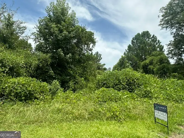 0 Cail Street, Sylvania, GA 30467 - #3