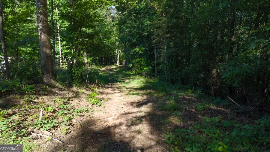 0 Kerns Ridge Court, Dawsonville, GA 30534 - #3