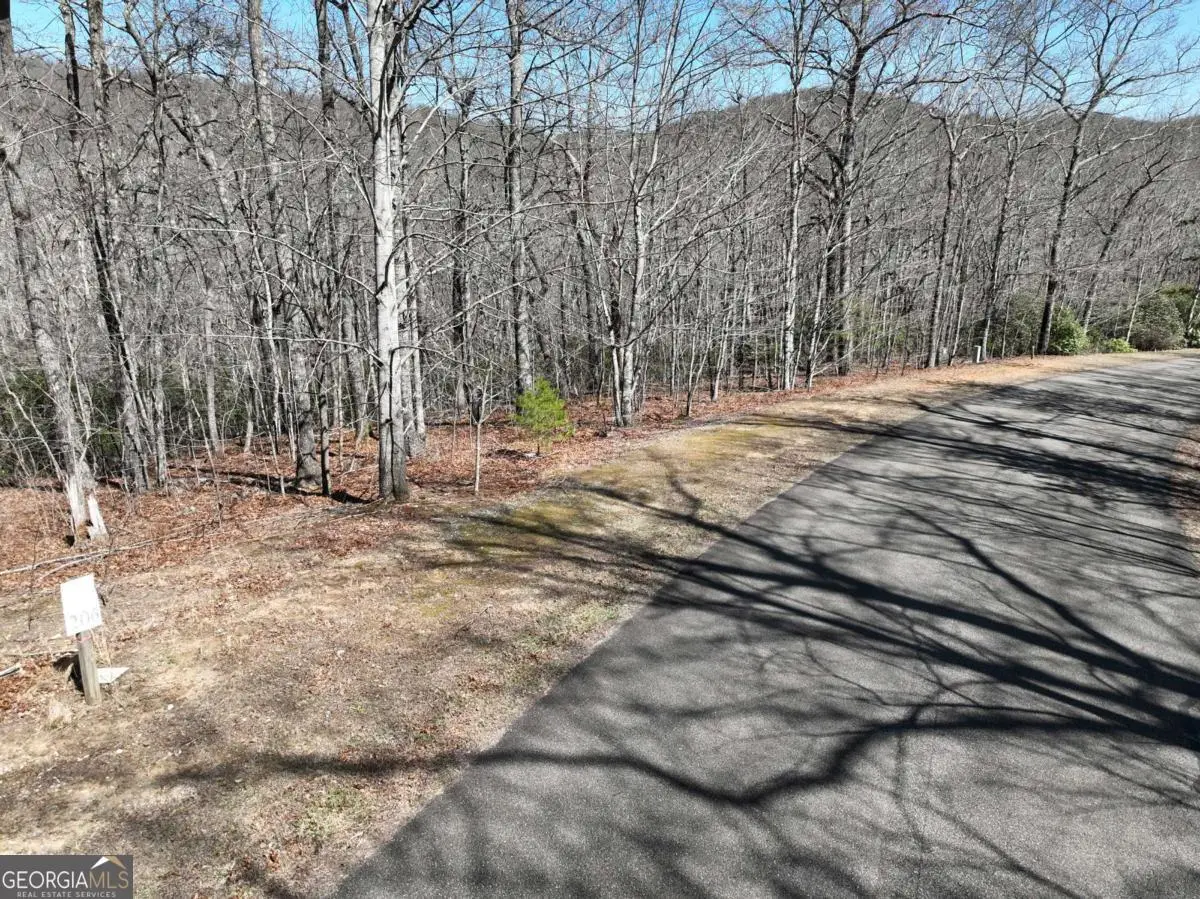 206 Northview Parkway, Ellijay, GA 30536 - #1