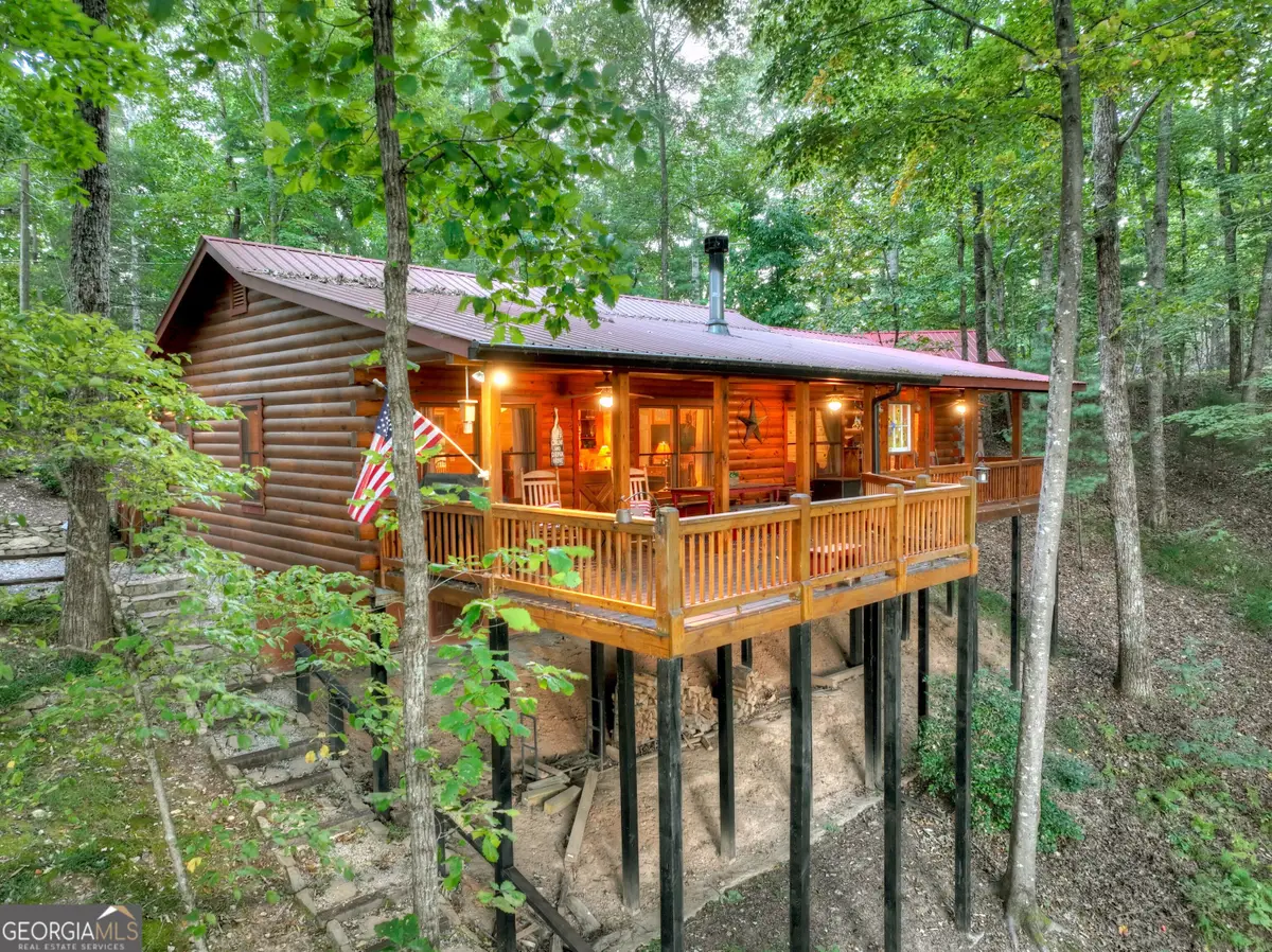 9 Joanna Court, Cherry Log, GA 30522 - #1