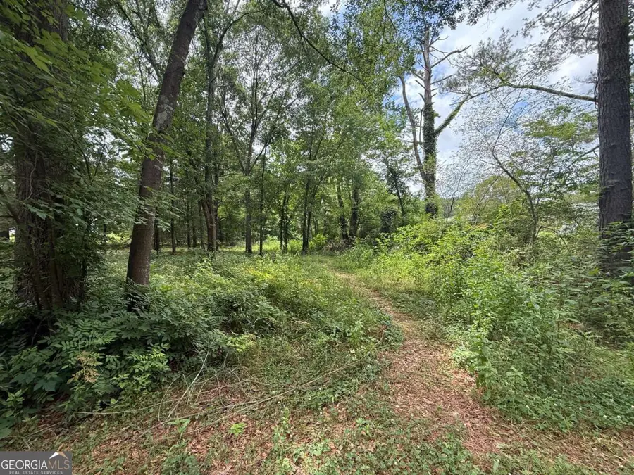 726 Old Rome Road, Aragon, GA 30104 - #2