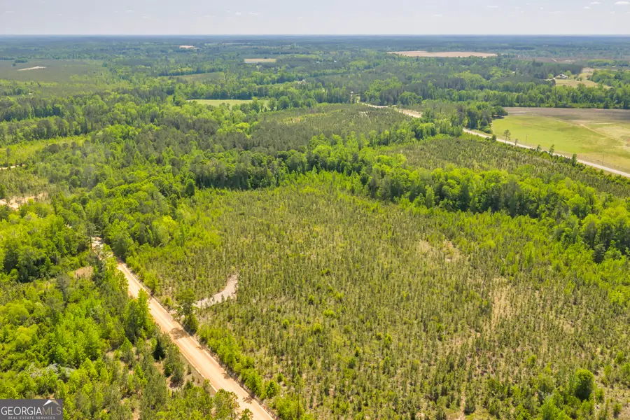 17 Graham Lane, Cadwell, GA 31009 - #3