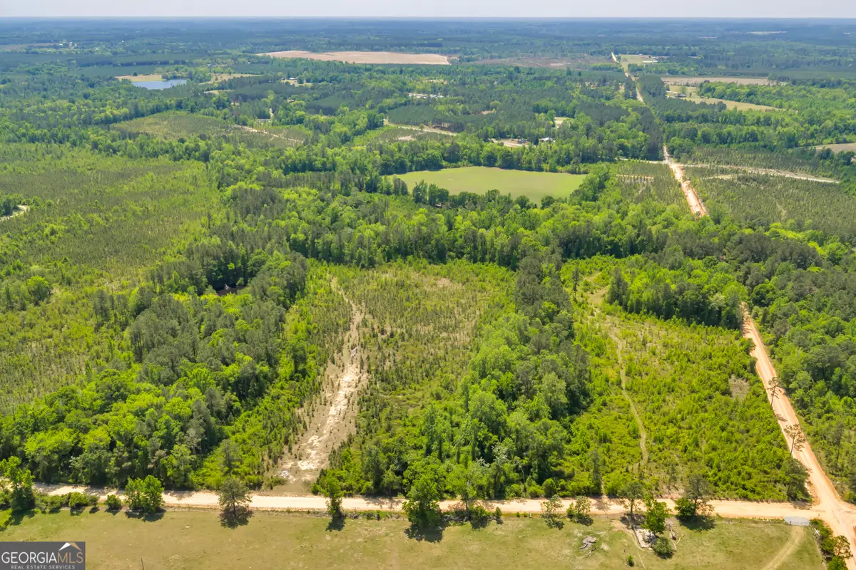 30 Graham Lane, Cadwell, GA 31009 - #1