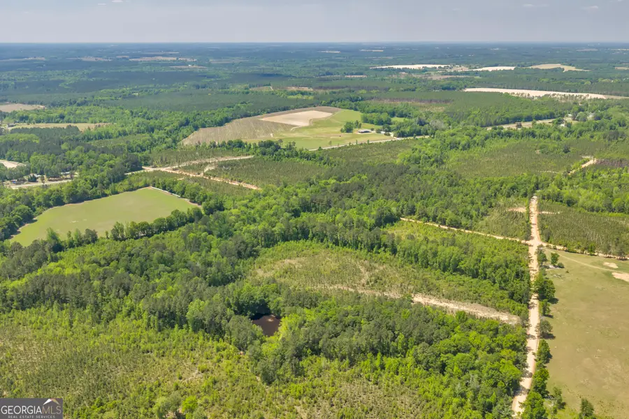 30 Graham Lane, Cadwell, GA 31009 - #3