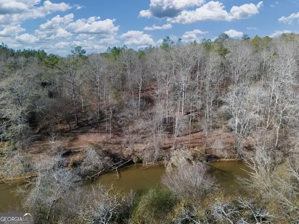 0 County Road 432 Lot 4 #L4, Woodland, AL 36280