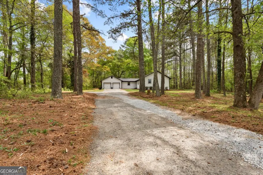 1177 Bob Smith Road, Sharpsburg, GA 30277 - #3