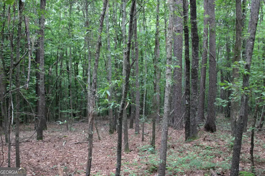 2 Garnett Ward Road, Hull, GA 30646 - #3